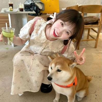 爱上的圣诞节